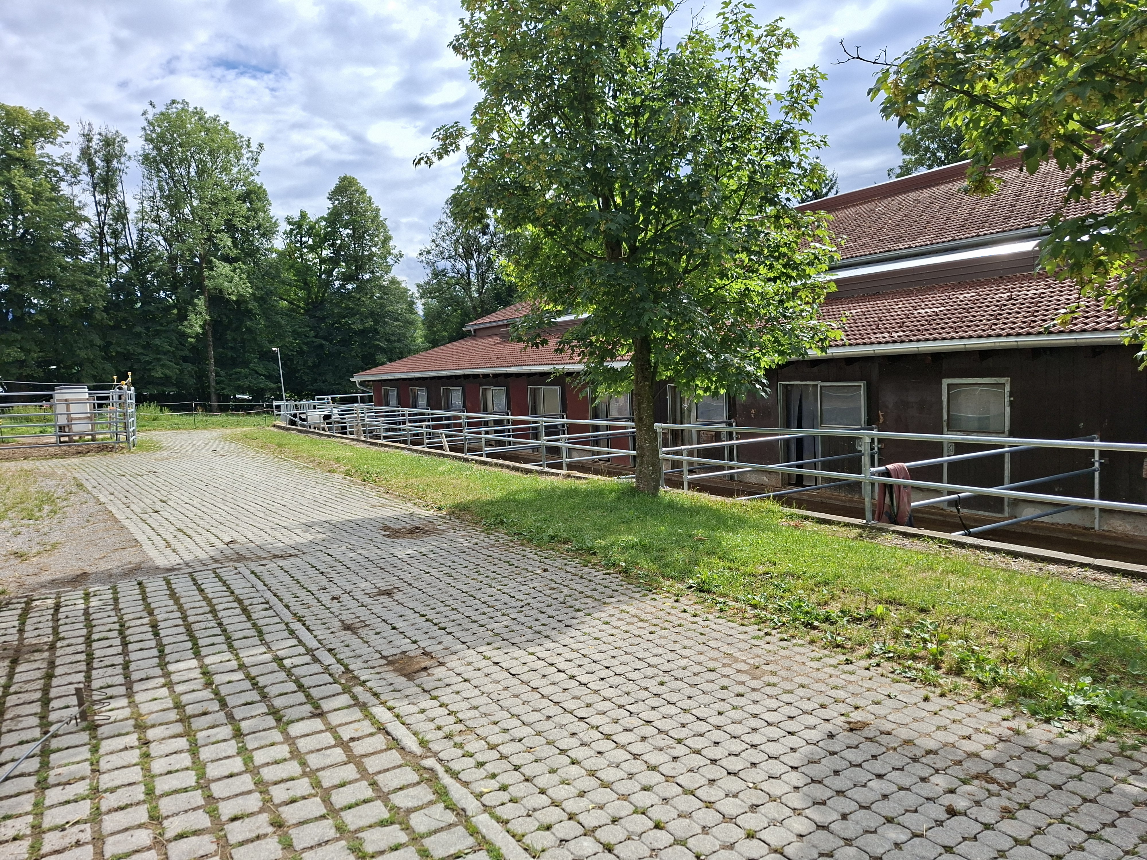 Paddockboxen am Grauburger Hof