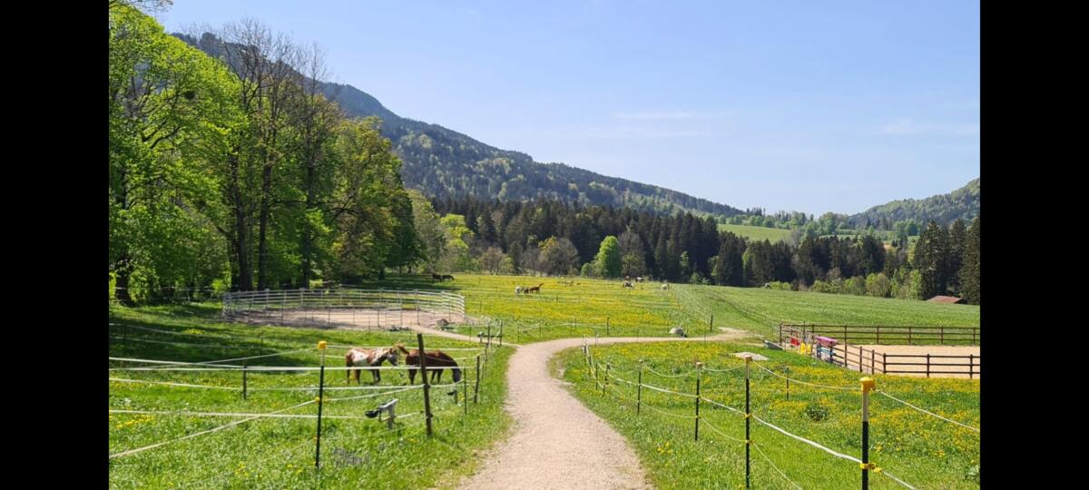 Weiden und Reitanlage im Tölzer Land