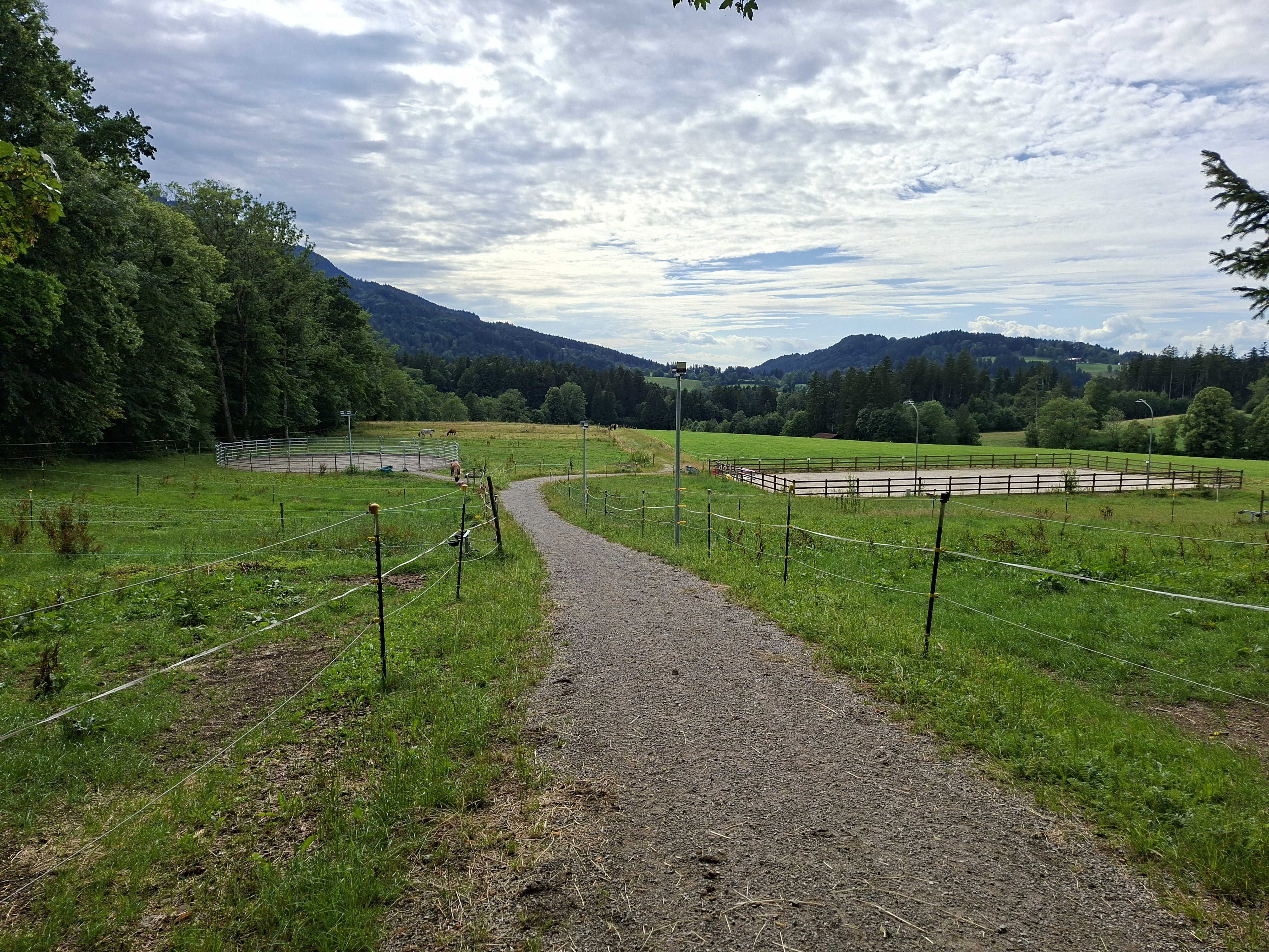 Koppeln