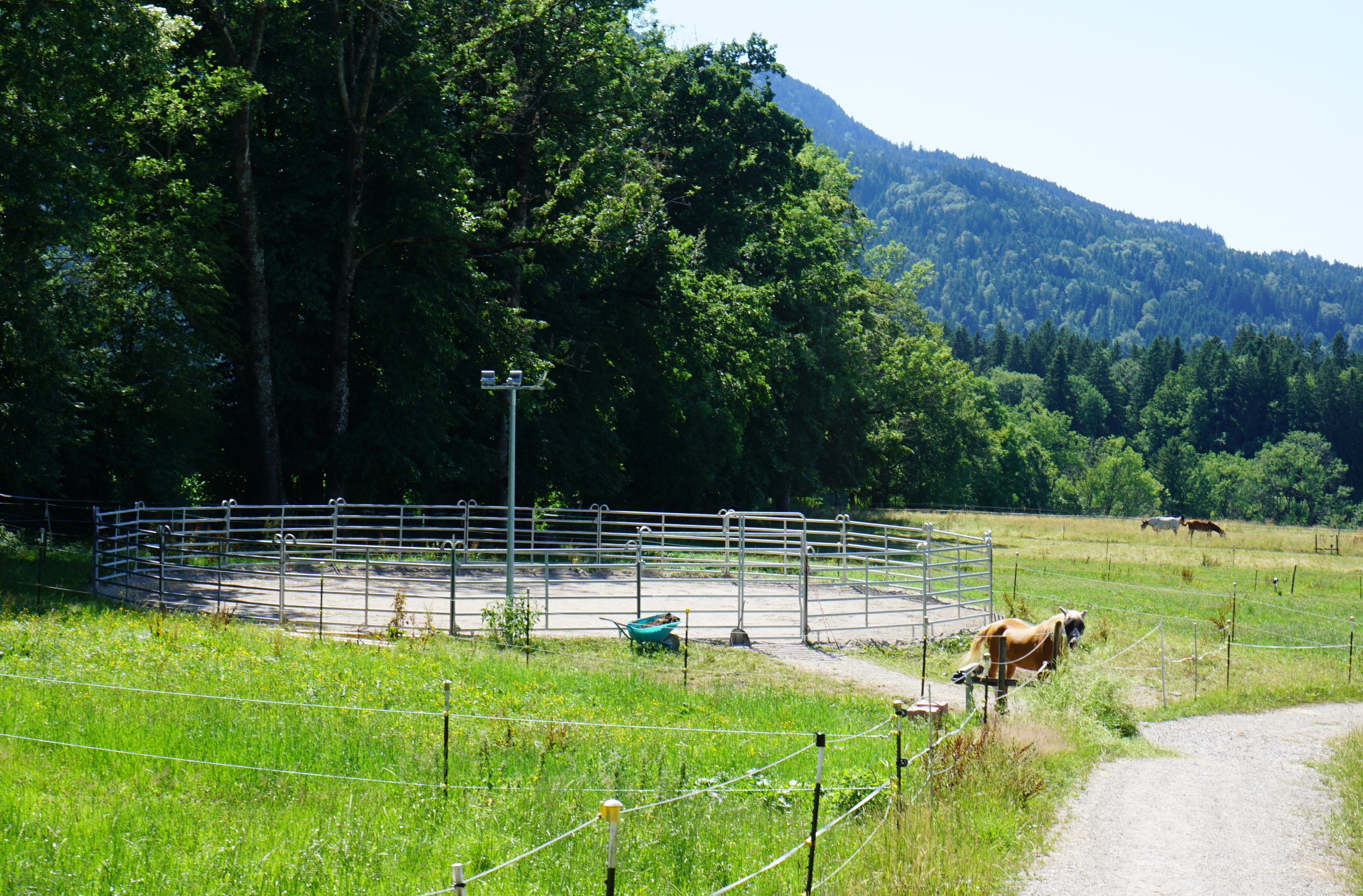 Roundpen